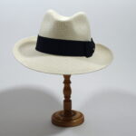 fedora-panama-d