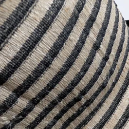 Packable Striped Amanita